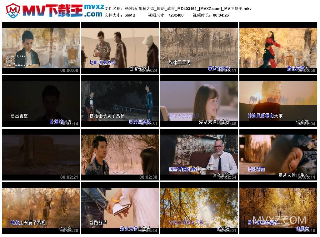 杨雅涵-胡杨之恋_国语_流行_MD403161